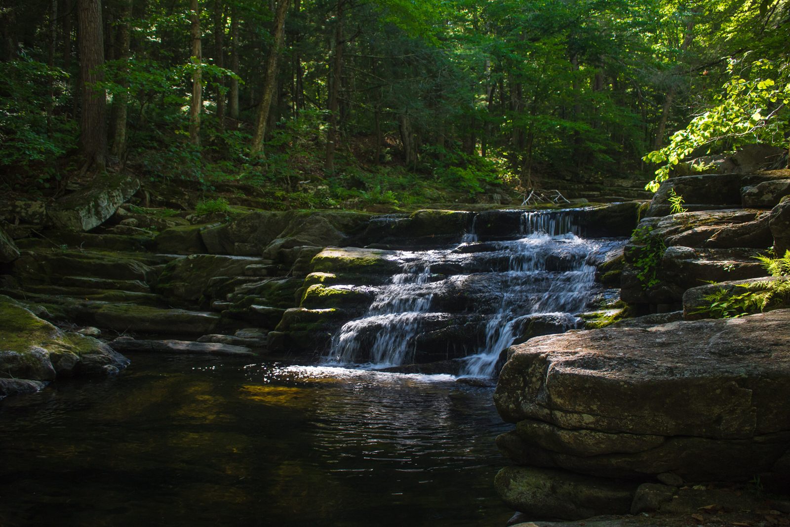 A small waterfall spilling over rock ledges into a pool in a shady green forest